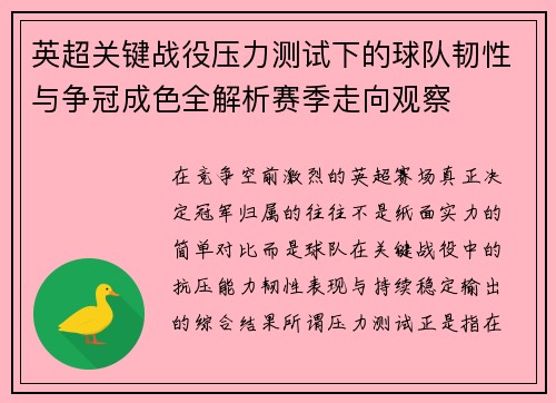 英超关键战役压力测试下的球队韧性与争冠成色全解析赛季走向观察